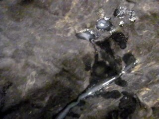 B.B.B. F.U.C.V. 01: Jennifer Stone "Totally Missed Pop 4a.m."AVI no slomo