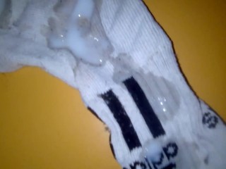 I cum on stepsister's white adidas  socks