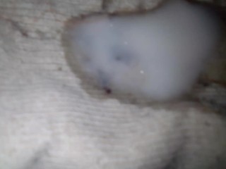 I cum on stepsister's white adidas  socks