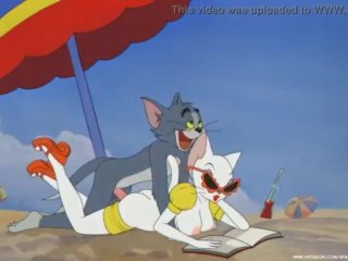 Tom and Jerry porno parodie