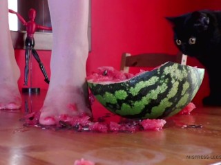 Crushing watermelon with nylon feet trailer