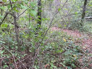 Baisé dans les bois déguisé en renard