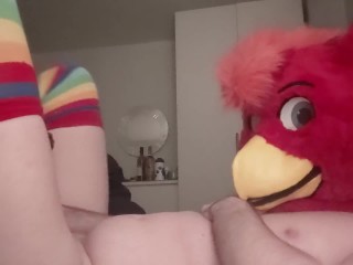 Bird fursuiter fucking Bad Dragon Hazel the Werewolfess penetrable