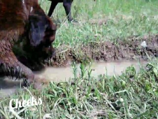 Bare feet in mud