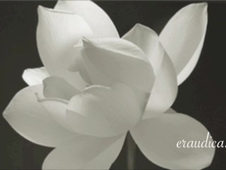 You Blossom - Erotic Freeverse - Erotic Audio Performed by Eve's Garden