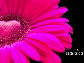 You Blossom - Erotic Freeverse - Erotic Audio Performed by Eve's Garden