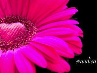 You Blossom - Erotic Freeverse - Erotic Audio Performed by Eve's Garden