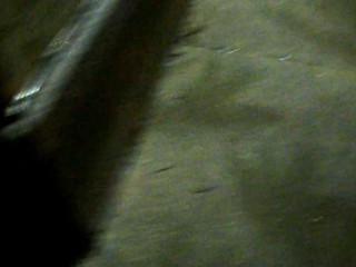 Mulberry & Greene Working my Corner!