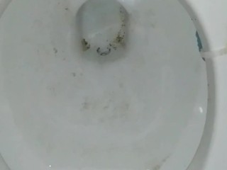 Peeing standing up in a dirty toilet