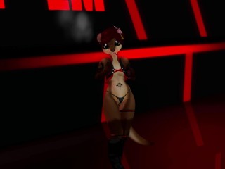 CatScratch Twitter Compilation