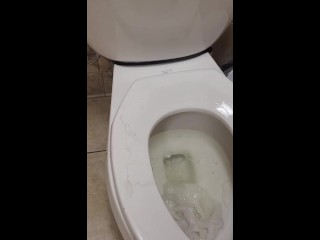 Uniqueen being disgusting peeing and then lickin all over the toilet and walls
