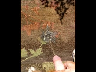 Hairy ginger pissing on a rug, a outdoor rug! Firebush!