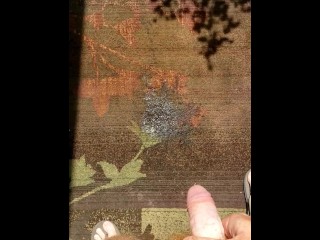 Hairy ginger pissing on a rug, a outdoor rug! Firebush!