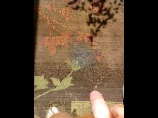 Hairy ginger pissing on a rug, a outdoor rug! Firebush!