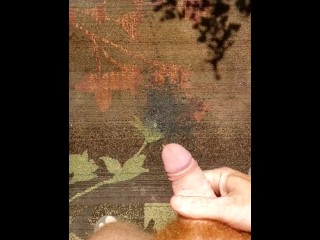 Hairy ginger pissing on a rug, a outdoor rug! Firebush!