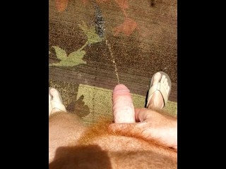 Hairy ginger pissing on a rug, a outdoor rug! Firebush!