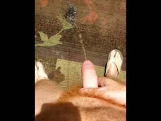 Hairy ginger pissing on a rug, a outdoor rug! Firebush!