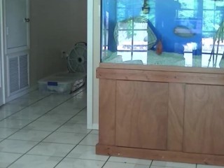 Cock Sucking Camgirl Its Cleo Gets Cum On Her Pretty Tits!