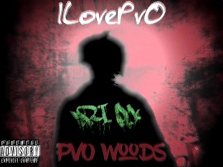 ILovePvO - PvO Woods 2