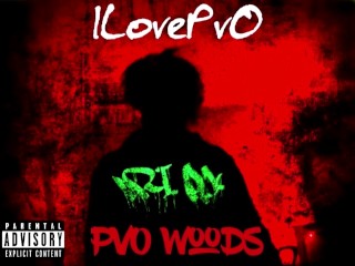 ILovePvO - PvO Woods 2