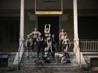 DOG FACTORY NEW GROUP PROJECT