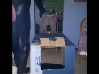 Dirty Tranny Piggy Analized By A Fucking Machine