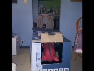Dirty Tranny Piggy Analized By A Fucking Machine