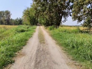 Ladymuffin And Tommy A Canaglia are jogging