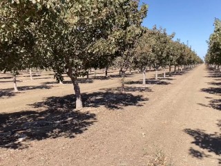 Mi amiga de 18 años aún tiene el coño apretado