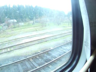 Girl having fun on the train