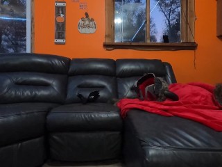 Sexy Morrigan with big tits pegs her Viking! Up close cumshot! 