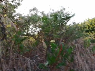 Kika Gizz dando una fenomenal mamada al aire libre a Dany Hardmon