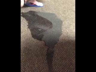 gushing pee on carpet in common area