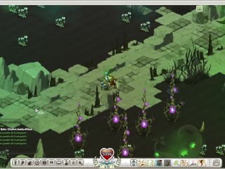 wakfu ,nueva isla rushu