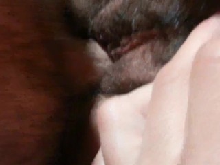 Hairy Cock in a Hairy Pussy! Moaning and taking slapping balls on my back!