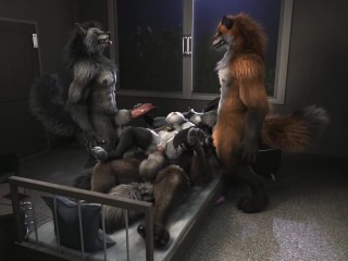 H0rs3 Loona werewolf party