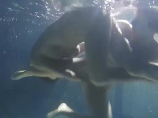 Lesbians and solo girls make out underwater