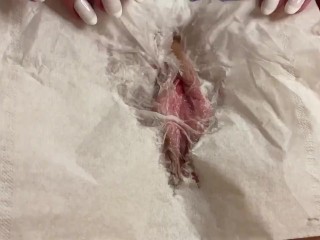 Her naughty pussy made the paper napkin soaking wet! This pink pussy definitely needs to cum. 