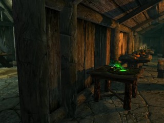Skyrim meeting with a lesbian in a tavern and sex near the counter