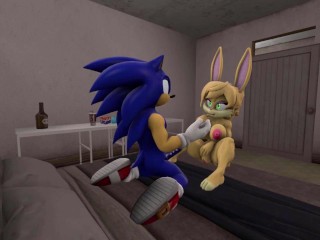 Sonic X Bunnie