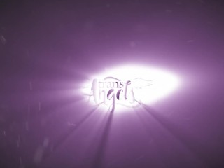 All The Hard Work / TransAngels