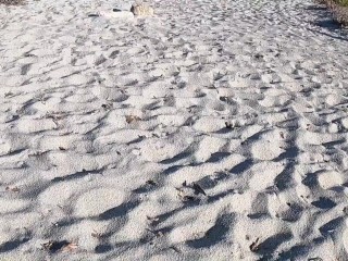 SEX OUTDOOR PUBLIC BEACH couple surpris par un inconnu à se masturber