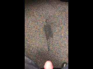 Peeing On The Carpet