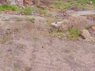 Pleeeeease Don't Stop Cum Inside My Pussy