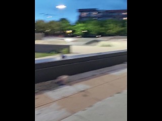 Naughty Wife Flashes at the Skate Park While a Stranger Walks By