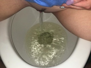 Every Piss I Took Today