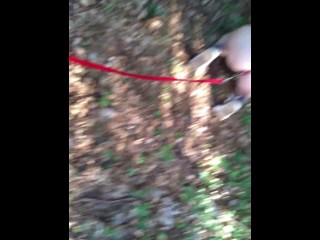 Naked submissive slut taken for a walk on a leash in forest ANAL LEASH but plug