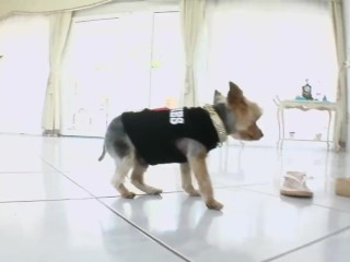 Aliz EURO Anal Sexy Bitch&David Perry, Mike Angelo, outdoor brunette, ass fuck, anal gape, Teaser#1