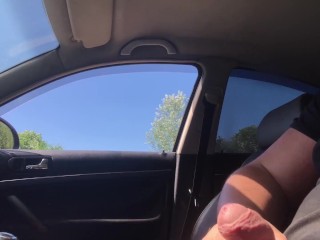 public dick flashing in car