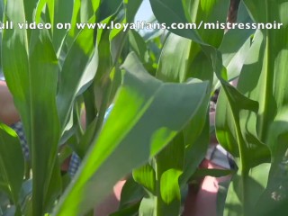 Cute girl gets DEEPLY FUCKED AND FISTED (Outdoor fuck in a cornfield).